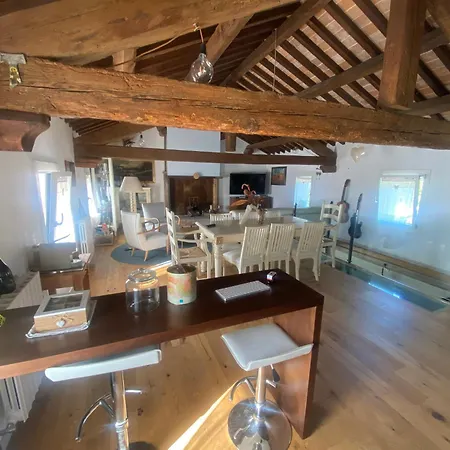 Nides مونسيليسي