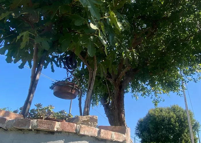 Nides 아파트 몽셀리체